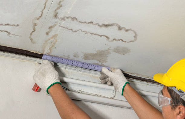 Reliable Water Damage contractor in Cotulla, TX by Water Damage Irwin